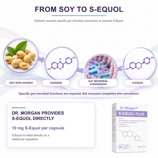S-Equol conversion pathway and direct S-Equol explanation
