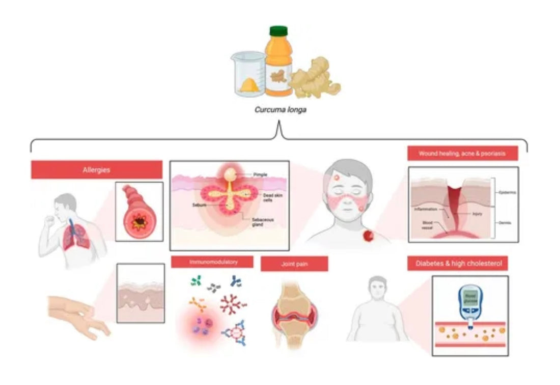 Curcumin