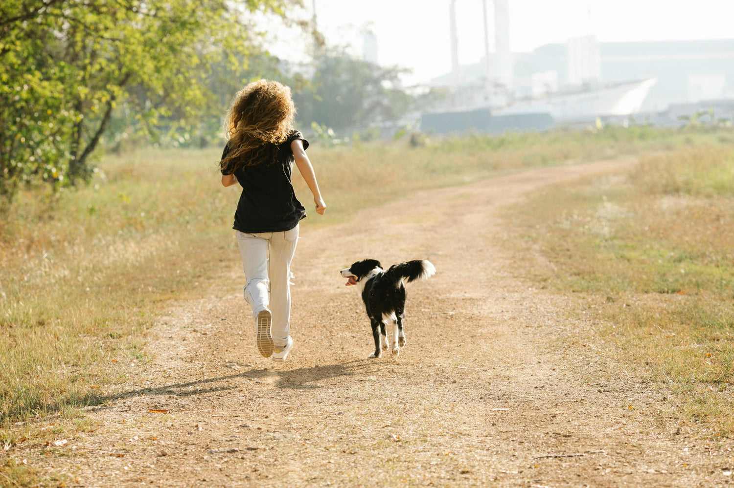 Cognitive Health