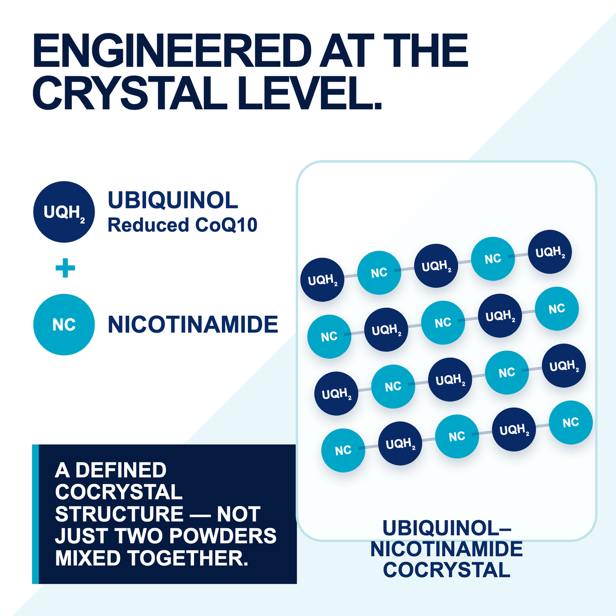 Ubiquinol and nicotinamide in a defined cocrystal structure